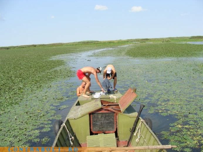 Suntem invidiati din toate colturile lumii! De ce Pentru ca avem o Delta de cinci stele!10