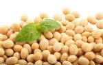 Topul alimentelor care imbunatatesc sanatatea unui barbat!4