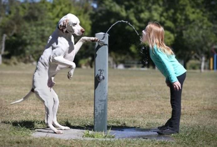 TOP Cele mai frumoase fotografii cu animale ale anului 2012! GALERIE FOTO14