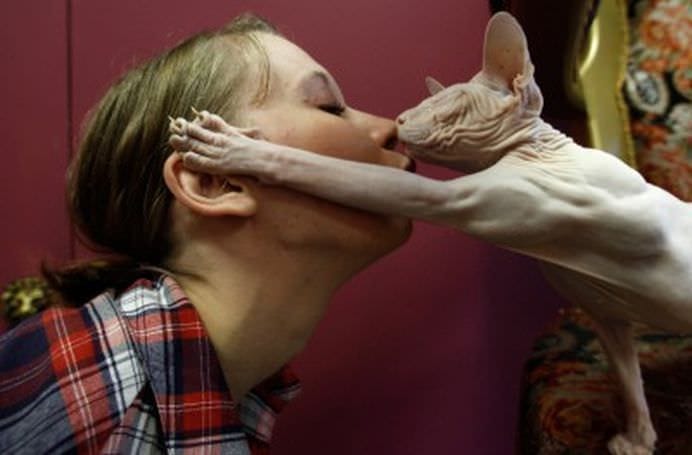 TOP Cele mai frumoase fotografii cu animale ale anului 2012! GALERIE FOTO15