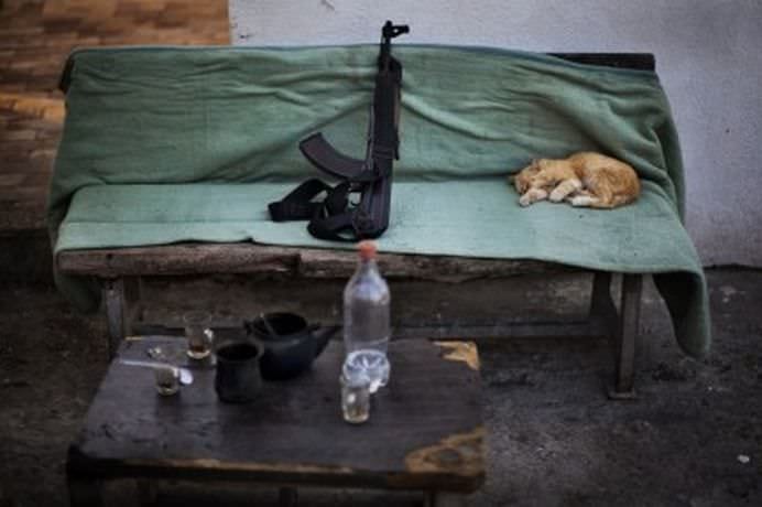 TOP Cele mai frumoase fotografii cu animale ale anului 2012! GALERIE FOTO9