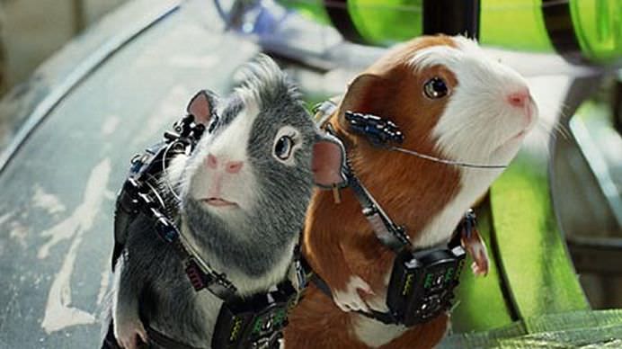 Animale care au deschis drumul oamenilor catre cucerirea Universului! GALERIE FOTO2