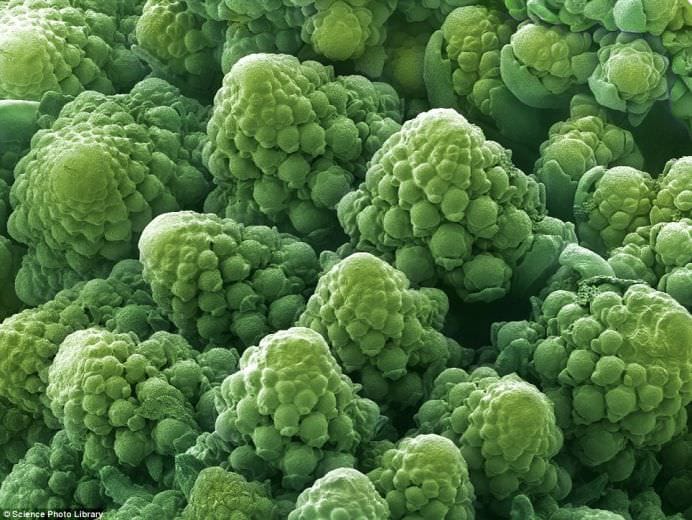 Cele mai populare alimente examinate sub microscop! GALERIE FOTO2