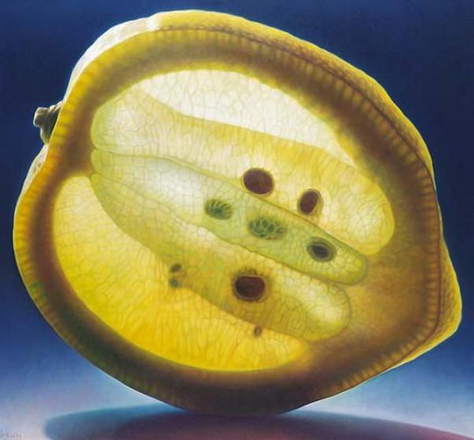 Intra in lumea fructelor translucide! GALERIE FOTO 10