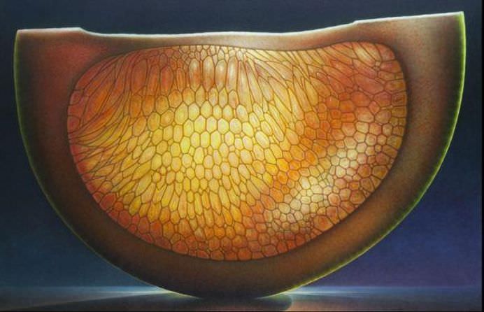Intra in lumea fructelor translucide! GALERIE FOTO 3
