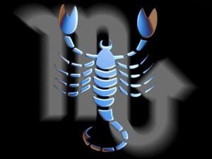 scorpion