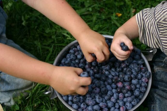 Minunile impotriva STRESULUI! Vezi cele mai bune alimente care alunga STRESUL pentru totdeauna!4