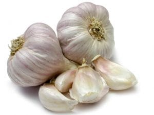 garlic1