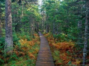 narrow-road-
