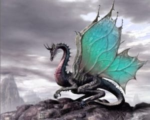 1Dragon