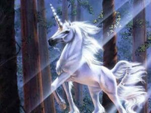 1Unicorn