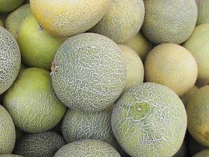melons