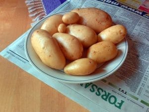 potatoes