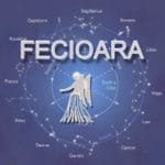 1fec