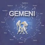 1gem