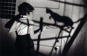 BLACK CAT, THE (1934)