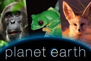1planet earth