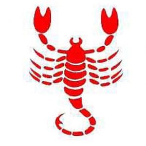 1scorpion
