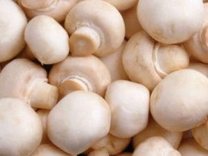 631431-mushroomsPHOTOFILE-1384327519-605-640x480