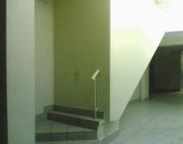 1no11