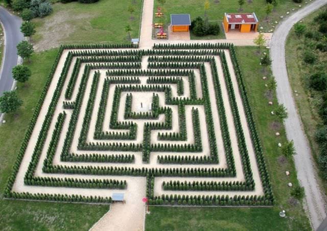 Sunt atat de FRUMOASE incat te PIERZI in ele IMAGINI cu LABIRINTURI VERZI!10