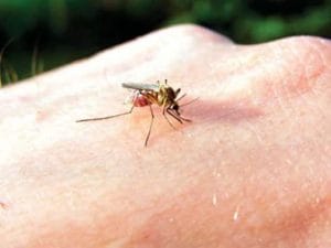 Zece MOTIVE pentru care ULEIUL DE COCOS este un miracol al naturii!5