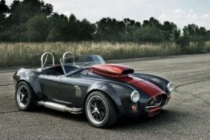 cobra2