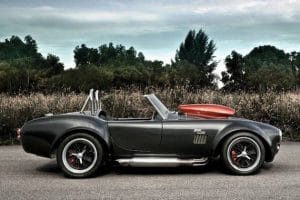 cobra2a