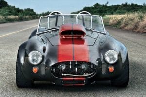 cobra2b