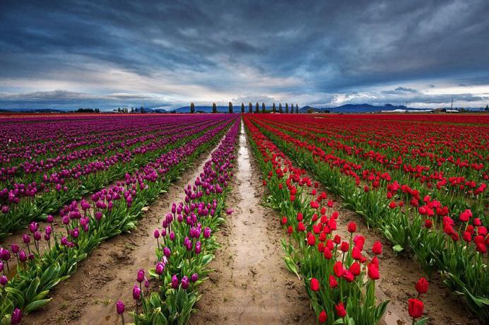 15 FOTOGRAFII incredibil de colorate, din intreaga lume!14