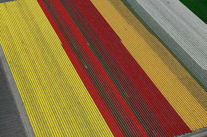 15 FOTOGRAFII incredibil de colorate, din intreaga lume!15