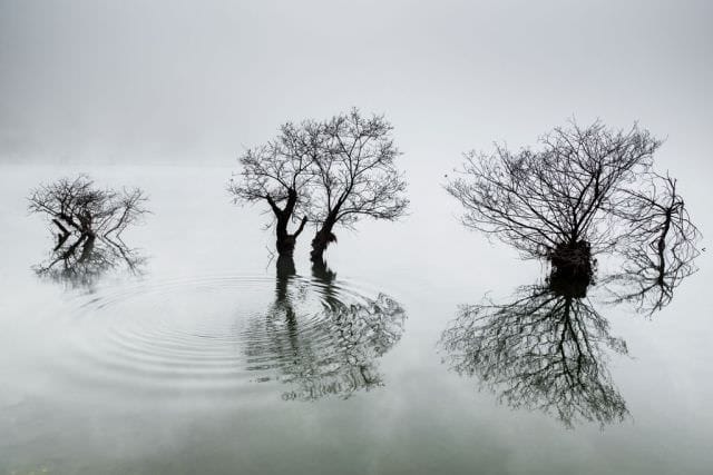 40 de IMAGINI greu de IMAGINAT Cine sunt castigatorii concursului Sony World Photography Awards24