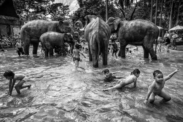 40 de IMAGINI greu de IMAGINAT Cine sunt castigatorii concursului Sony World Photography Awards37