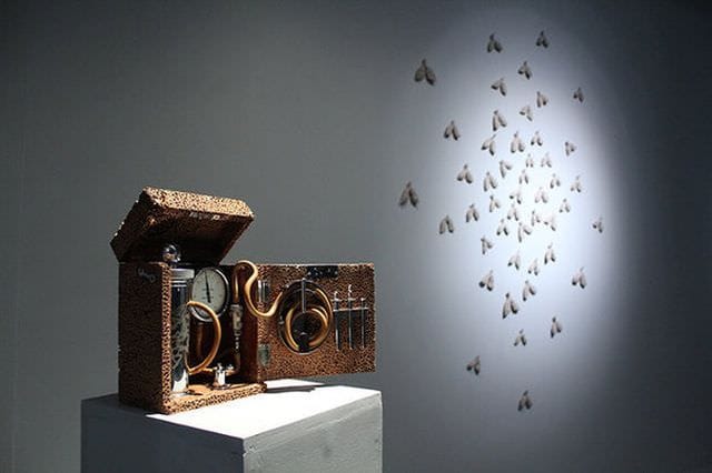 ARTA din BACTERII MOARTE O artista britanica de origine romana a realizat o instalatie din TUBERCULOZA!1