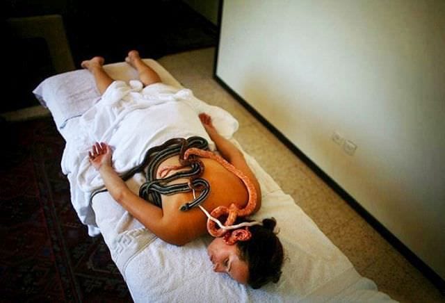 Asta e ultima moda de relaxare MASAJUL CU SERPI! FOTO11