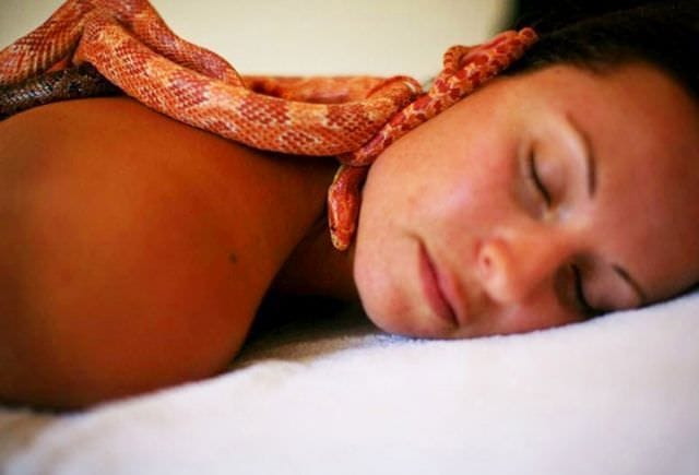 Asta e ultima moda de relaxare MASAJUL CU SERPI! FOTO12