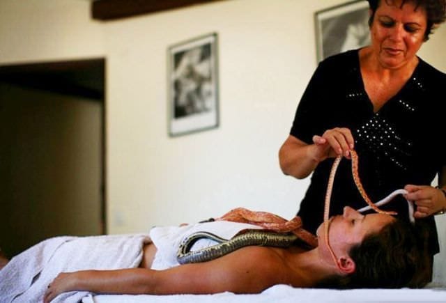 Asta e ultima moda de relaxare MASAJUL CU SERPI! FOTO13