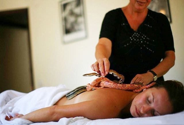 Asta e ultima moda de relaxare MASAJUL CU SERPI! FOTO2
