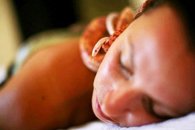 Asta e ultima moda de relaxare MASAJUL CU SERPI! FOTO3