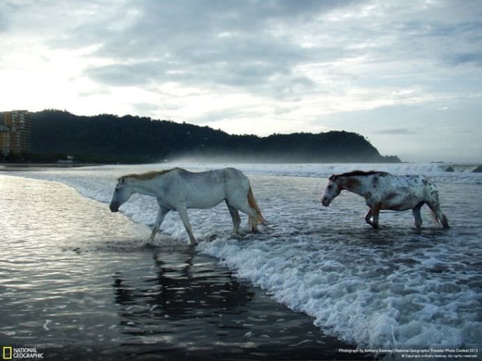 Cele mai frumoase ANIMALE SALBATICE surprinse in IMAGINI SPECTACULOASE!17