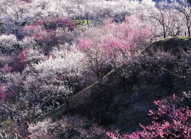 IMAGINI INCREDIBILE la concursul calatorului National Geographic! Vezi cum poti participa!4