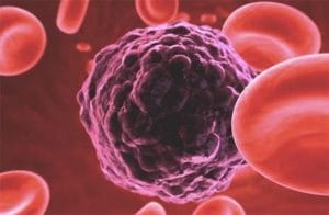 TOP Zece BENEFICII miraculoase ale USTUROIULUI NEGRU!9