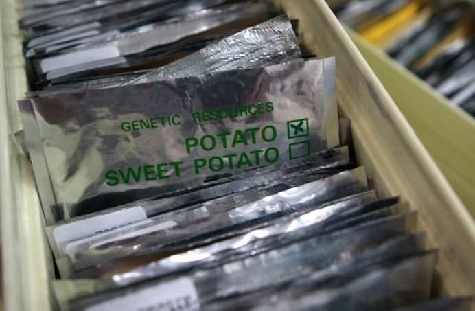 Ai auzit de SEIFUL APOCALIPSEI  Ce crezi ca au conservat cercetatorii in acest loc pentru a putea salva OMENIREA!2