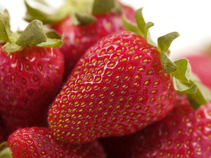 fragole