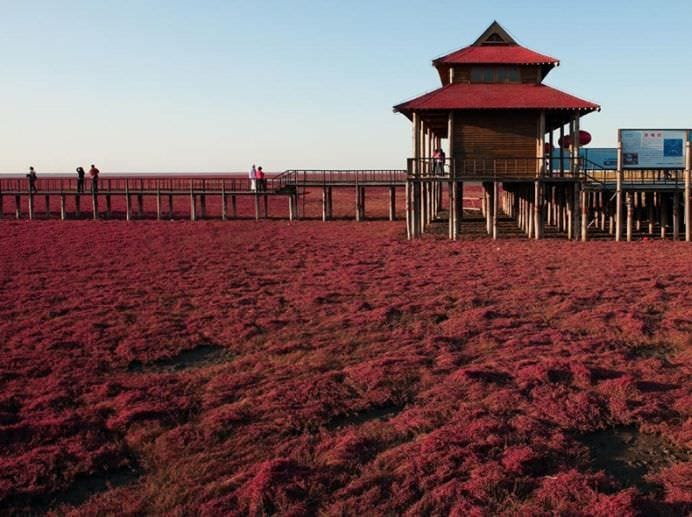 IMAGINI COLORATE cu PLAJA ROSIE PANJIN care pare rupta din RAI! FOTO2