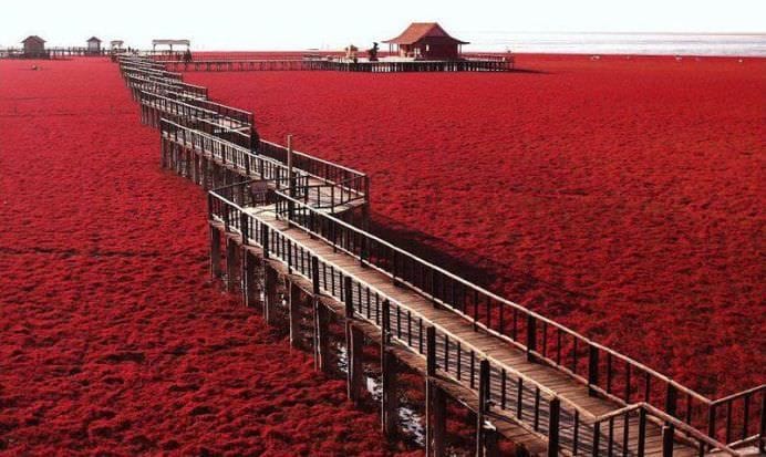 IMAGINI COLORATE cu PLAJA ROSIE PANJIN care pare rupta din RAI! FOTO4