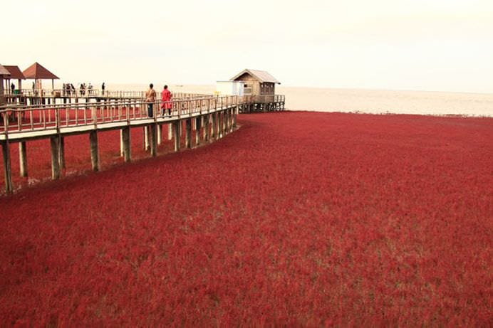 IMAGINI COLORATE cu PLAJA ROSIE PANJIN care pare rupta din RAI! FOTO8