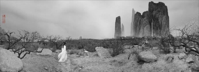 IMAGINI DEMENTIALE cu PICTURI DIGITALE in CHINA!4