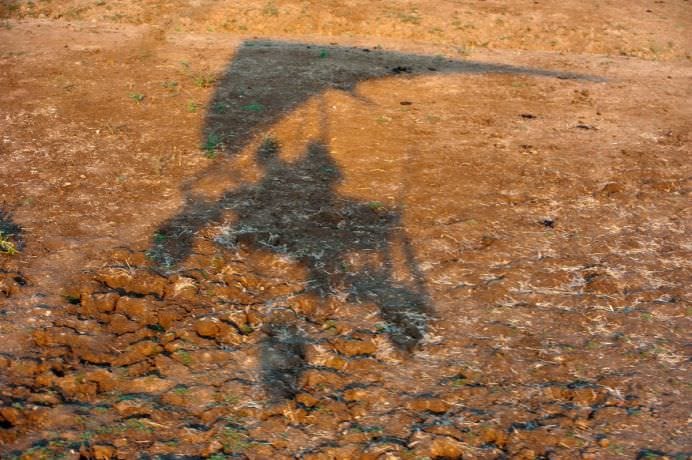 IMAGINI MONUMENTALE cu o BATALIE dintre sute de HIPOPOTAMI si CROCODILI!6