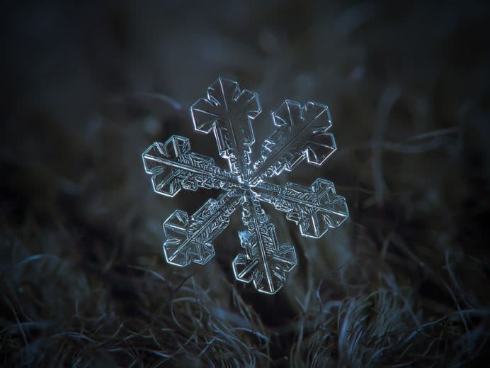 IMAGINILE care au ULUIT internetul IN 2014!13
